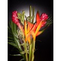 Exotic Bouquets - Tropical Bouquet